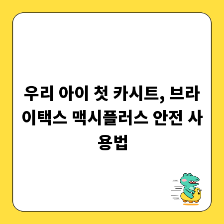 우리 아이 첫 카시트, 브라이택스 맥시플러스 안전 사용법