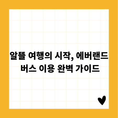 알뜰 여행의 시작, 에버랜드 버스 이용 완벽 가이드