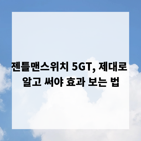 젠틀맨스위치 5GT, 제대로 알고 써야 효과 보는 법