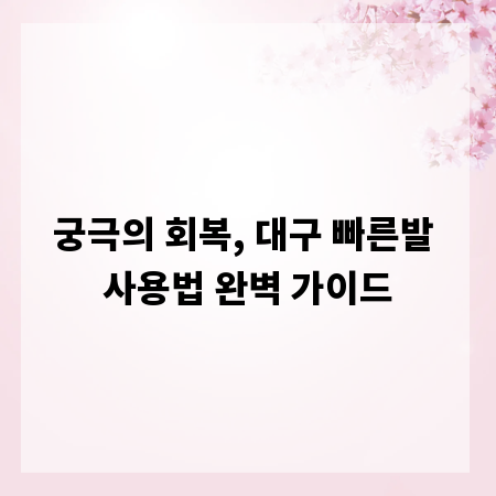 궁극의 회복, 대구 빠른발 사용법 완벽 가이드