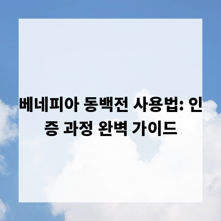 베네피아 동백전 사용법: 인증 과정 완벽 가이드
