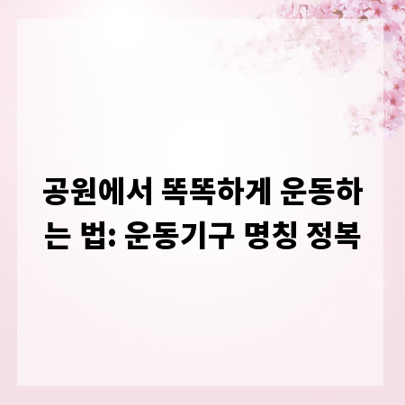 공원에서 똑똑하게 운동하는 법: 운동기구 명칭 정복