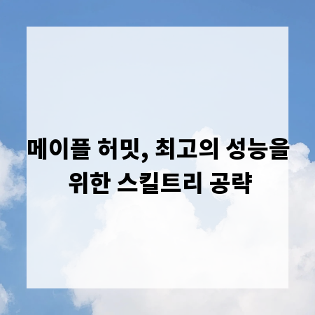 메이플 허밋, 최고의 성능을 위한 스킬트리 공략