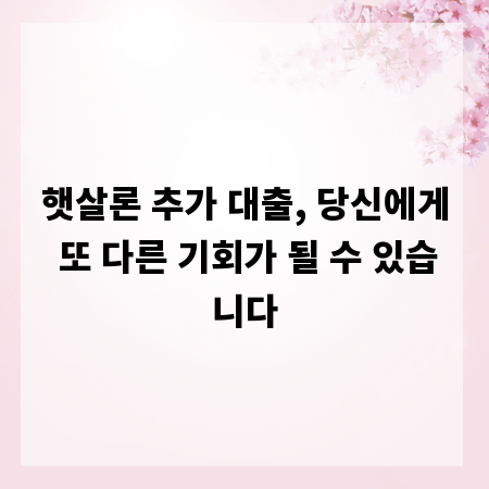햇살론 추가 대출, 당신에게 또 다른 기회가 될 수 있습니다