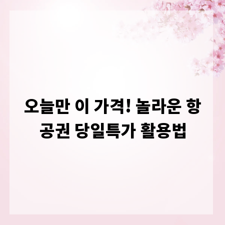 오늘만 이 가격! 놀라운 항공권 당일특가 활용법