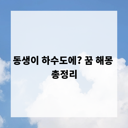 동생이 하수도에? 꿈 해몽 총정리