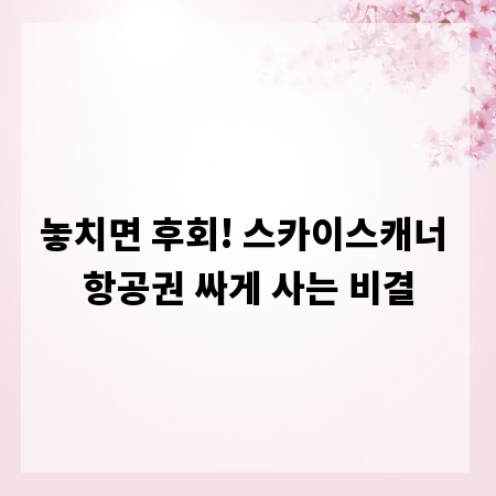 놓치면 후회! 스카이스캐너 항공권 싸게 사는 비결