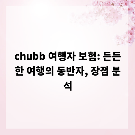 chubb 여행자 보험: 든든한 여행의 동반자, 장점 분석