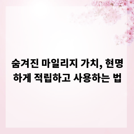 숨겨진 마일리지 가치, 현명하게 적립하고 사용하는 법