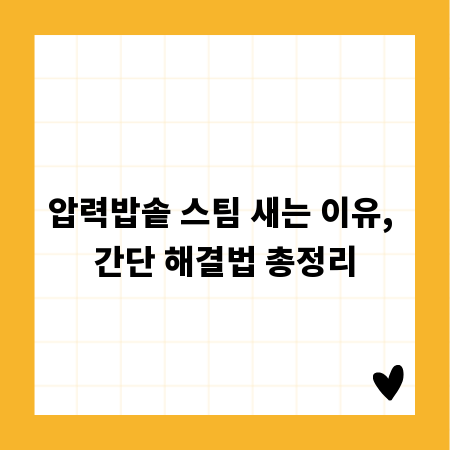 압력밥솥 스팀 새는 이유, 간단 해결법 총정리
