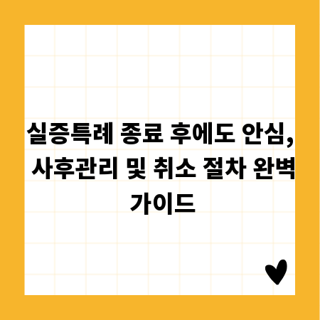 실증특례 종료 후에도 안심, 사후관리 및 취소 절차 완벽 가이드