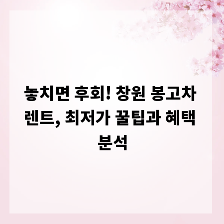 놓치면 후회! 창원 봉고차 렌트, 최저가 꿀팁과 혜택 분석