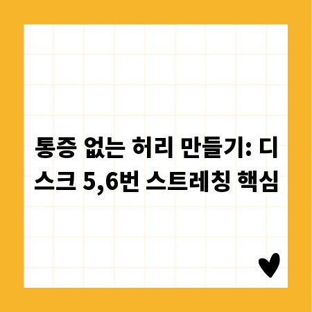 통증 없는 허리 만들기: 디스크 5,6번 스트레칭 핵심