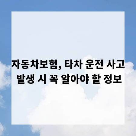 자동차보험, 타차 운전 사고 발생 시 꼭 알아야 할 정보