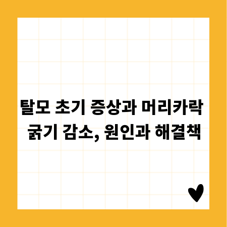 탈모 초기 증상과 머리카락 굵기 감소, 원인과 해결책