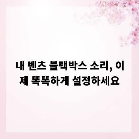 내 벤츠 블랙박스 소리, 이제 똑똑하게 설정하세요