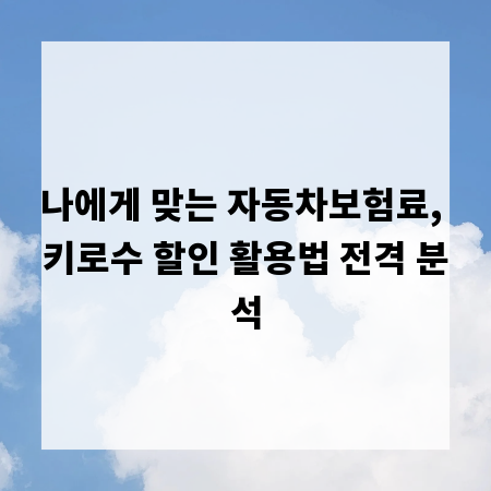 나에게 맞는 자동차보험료, 키로수 할인 활용법 전격 분석