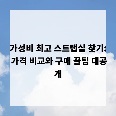 가성비 최고 스트랩실 찾기: 가격 비교와 구매 꿀팁 대공개