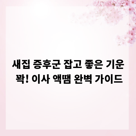 새집 증후군 잡고 좋은 기운 꽉! 이사 액땜 완벽 가이드