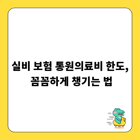 실비 보험 통원의료비 한도, 꼼꼼하게 챙기는 법