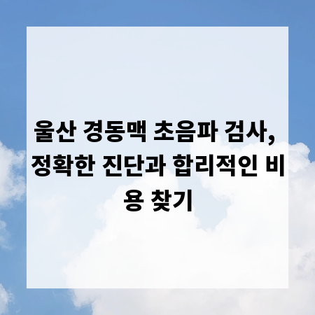 울산 경동맥 초음파 검사, 정확한 진단과 합리적인 비용 찾기