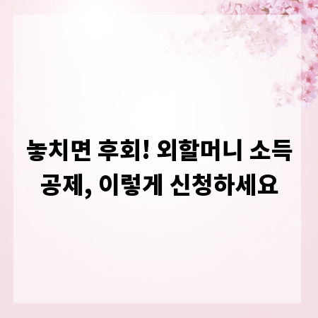 놓치면 후회! 외할머니 소득공제, 이렇게 신청하세요