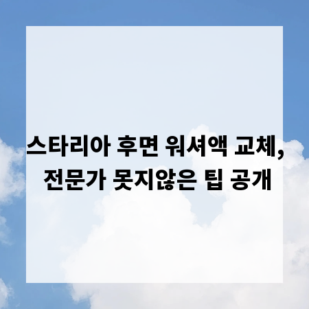 스타리아 후면 워셔액 교체, 전문가 못지않은 팁 공개