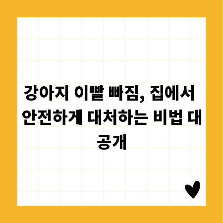 강아지 이빨 빠짐, 집에서 안전하게 대처하는 비법 대공개