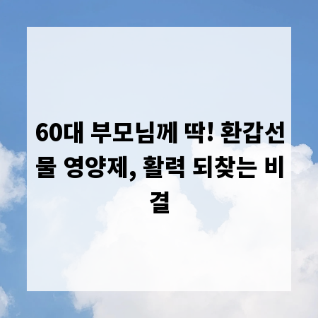 60대 부모님께 딱! 환갑선물 영양제, 활력 되찾는 비결