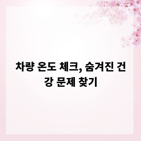 차량 온도 체크, 숨겨진 건강 문제 찾기