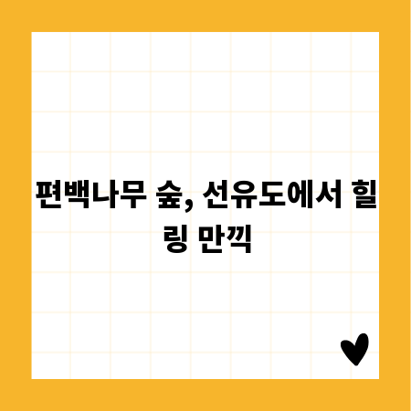편백나무 숲, 선유도에서 힐링 만끽