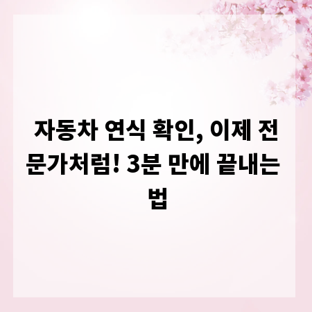 자동차 연식 확인, 이제 전문가처럼! 3분 만에 끝내는 법