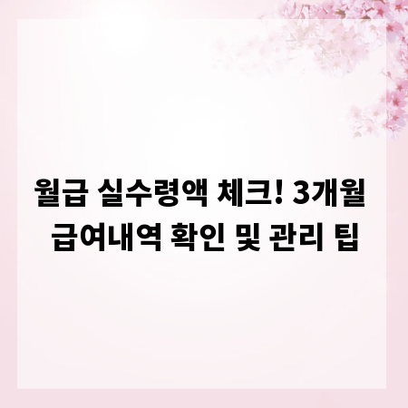 월급 실수령액 체크! 3개월 급여내역 확인 및 관리 팁