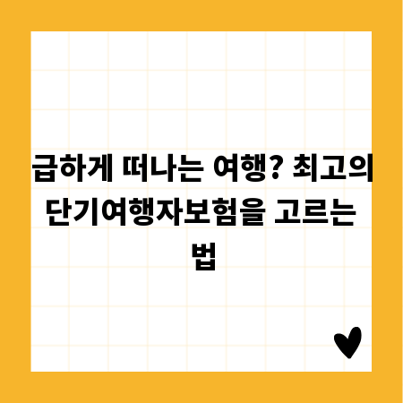 급하게 떠나는 여행? 최고의 단기여행자보험을 고르는 법