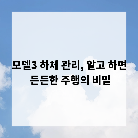 모델3 하체 관리, 알고 하면 든든한 주행의 비밀