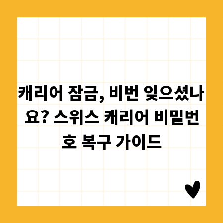 캐리어 잠금, 비번 잊으셨나요? 스위스 캐리어 비밀번호 복구 가이드