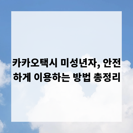카카오택시 미성년자, 안전하게 이용하는 방법 총정리