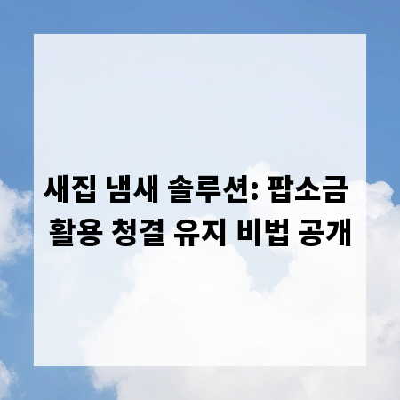 새집 냄새 솔루션: 팝소금 활용 청결 유지 비법 공개