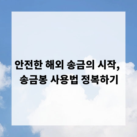 안전한 해외 송금의 시작, 송금봉 사용법 정복하기