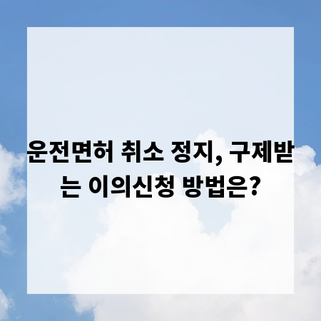 운전면허 취소 정지, 구제받는 이의신청 방법은?