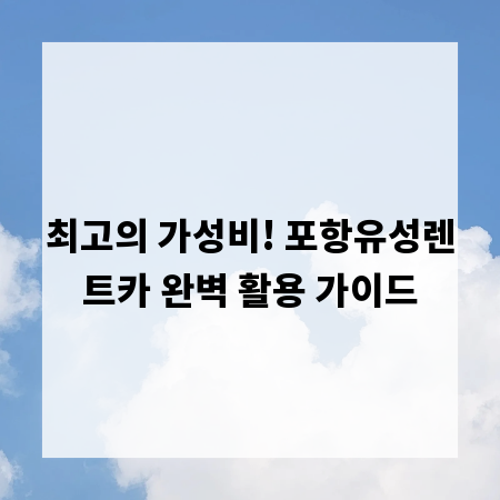 최고의 가성비! 포항유성렌트카 완벽 활용 가이드