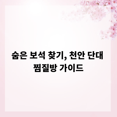 숨은 보석 찾기, 천안 단대 찜질방 가이드