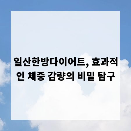 일산한방다이어트, 효과적인 체중 감량의 비밀 탐구