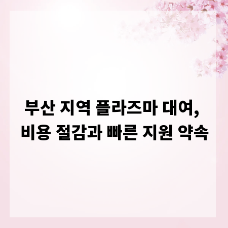 부산 지역 플라즈마 대여, 비용 절감과 빠른 지원 약속