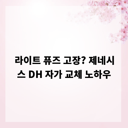 라이트 퓨즈 고장? 제네시스 DH 자가 교체 노하우