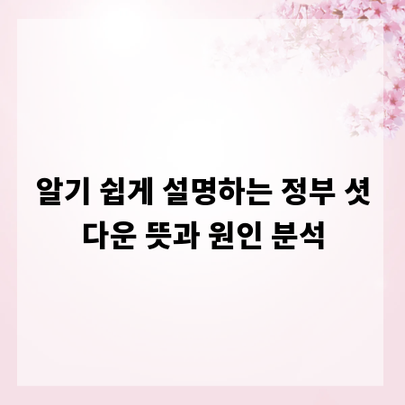 알기 쉽게 설명하는 정부 셧다운 뜻과 원인 분석