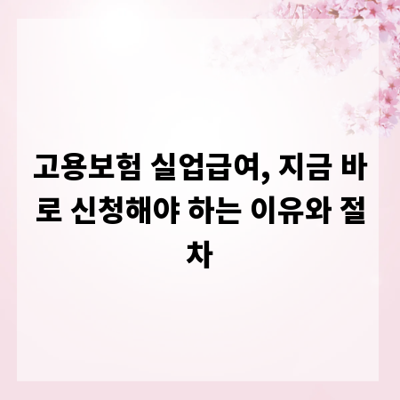 고용보험 실업급여, 지금 바로 신청해야 하는 이유와 절차