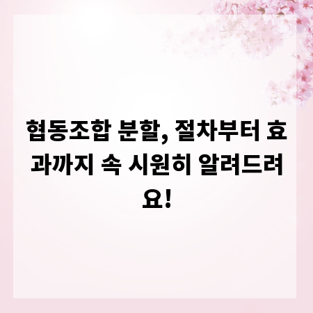 협동조합 분할, 절차부터 효과까지 속 시원히 알려드려요!