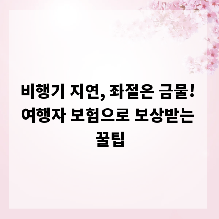 비행기 지연, 좌절은 금물! 여행자 보험으로 보상받는 꿀팁