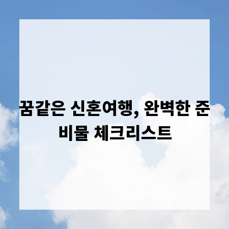 꿈같은 신혼여행, 완벽한 준비물 체크리스트
